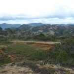 compensacion restauración y reforestación de ecpsistemas