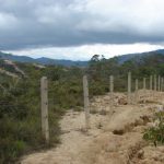 compensacion restauración y reforestación de ecpsistemas 2